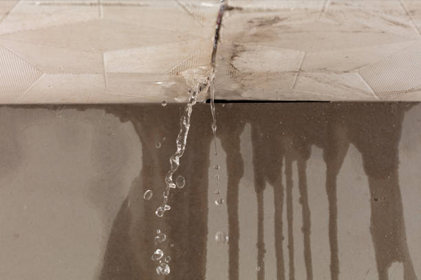 Professional Structural Drying technician working in Bascom, OH